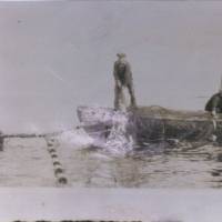 Les pêcheurs enlèvent les poissons des trappes