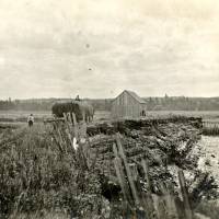 Aboiteau à Grand-Pré, Nouvelle-Écosse, vers 1900.