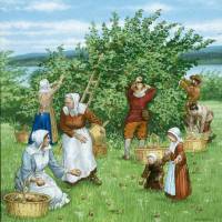 Les Acadiens à la cueillette des pommes